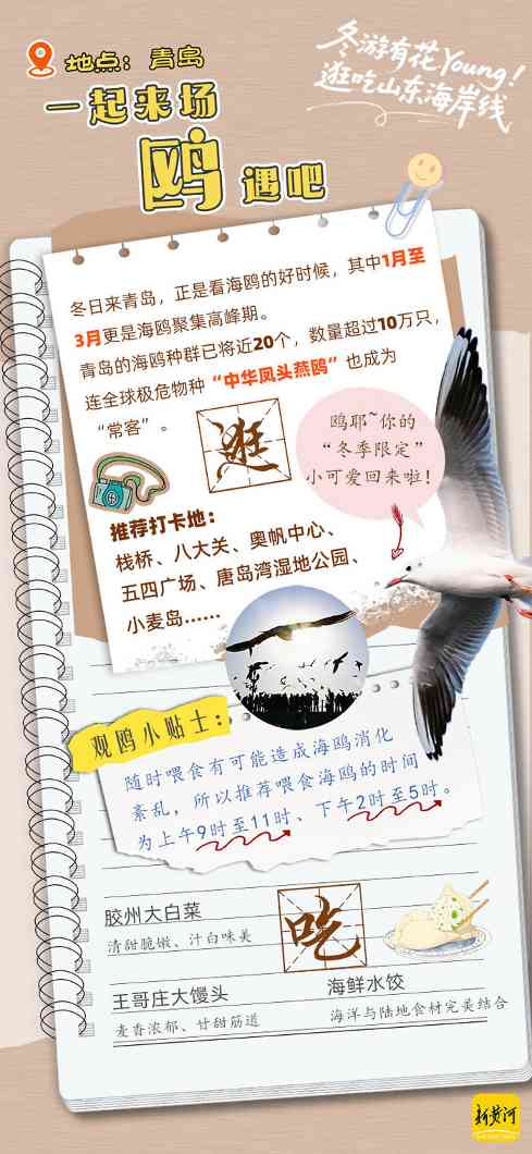冬游齐鲁新花young！领取你的山东海岸线逛吃手账 | 青春华章 向海图强(图1)