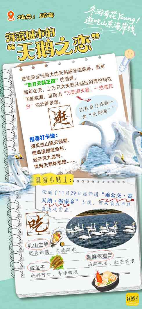 冬游齐鲁新花young！领取你的山东海岸线逛吃手账 | 青春华章 向海图强(图4)
