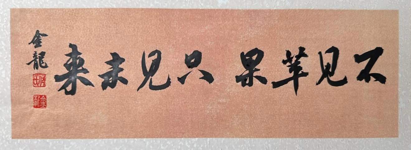 不见苹果，只见未来。(图5)