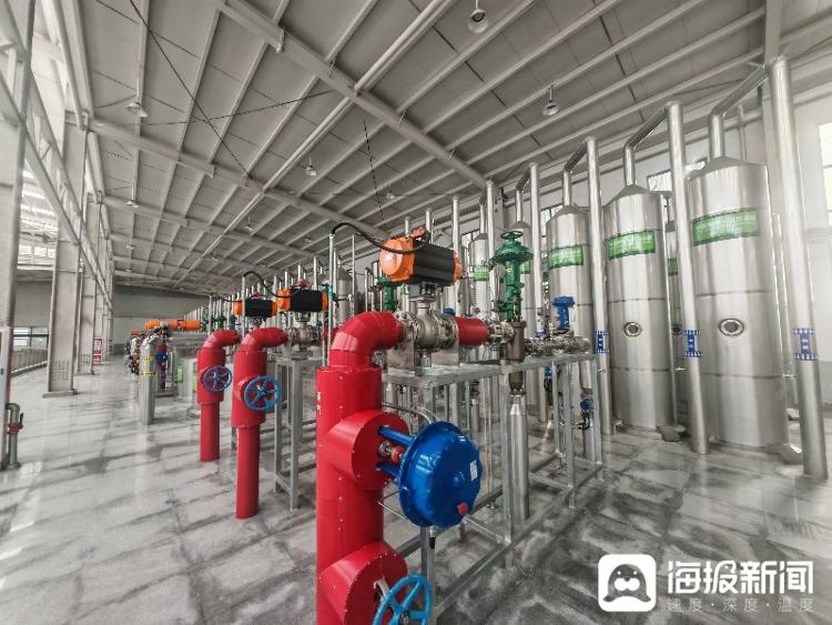 “双招双引”看山东丨一根玉米“淌”出黄金产业链(图2)