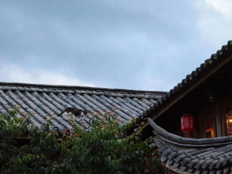 国风民宿，泊心云舍的中式美学(图9)