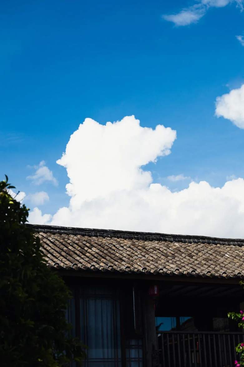 国风民宿，泊心云舍的中式美学(图8)