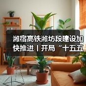 潍宿高铁潍坊段建设加快推进丨开局“十五五” 奋斗正当时(图3)