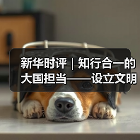 新华时评｜知行合一的大国担当——设立文明对话国际日的时代意义系列评论之二(图4)