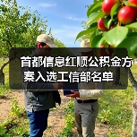 首都信息红顺公积金方案入选工信部名单(图2)
