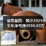 睿昂基因：预计2025年全年净亏损3990.69万元—5986.03万元(图3)