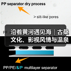 沿着黄河遇见海｜古桑文化、影视风情与温泉雅致的完美融合！夏津打造多元发展格局(图1)