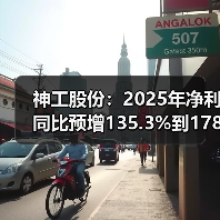 神工股份：2025年净利同比预增135.3%到178.09%(图3)