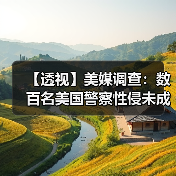 【透视】美媒调查：数百名美国警察性侵未成年人，却逍遥法外(图4)