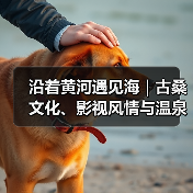 沿着黄河遇见海｜古桑文化、影视风情与温泉雅致的完美融合！夏津打造多元发展格局(图2)