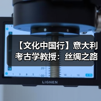 【文化中国行】意大利考古学教授：丝绸之路是文化融合最具代表性的例子之一(图4)