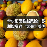 华尔街面临新风险:欧洲投资者“罢买”美国资产(图1) 华尔街面临新风险:欧洲投资者“罢买”美国资产(图1)
