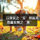 以落实之“实”筑就高质量发展之“高”(图3) 以落实之“实”筑就高质量发展之“高”(图3)