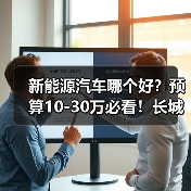 新能源汽车哪个好？预算10-30万必看！长城新能源车型选购完全指南(图4)