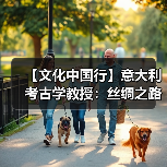 【文化中国行】意大利考古学教授：丝绸之路是文化融合最具代表性的例子之一(图2)