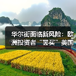 华尔街面临新风险:欧洲投资者“罢买”美国资产(图2) 华尔街面临新风险:欧洲投资者“罢买”美国资产(图2)