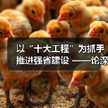 以“十大工程”为抓手推进强省建设 ——论深入学习贯彻省委十二届十次全会精神(图1) 以“十大工程”为抓手推进强省建设 ——论深入学习贯彻省委十二届十次全会精神(图1)