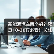 新能源汽车哪个好？预算10-30万必看！长城新能源车型选购完全指南(图3)