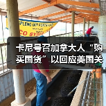 卡尼号召加拿大人“购买国货”以回应美国关税威胁