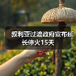 叙利亚过渡政府宣布延长停火15天(图4)