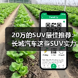 20万的SUV最佳推荐：长城汽车这些SUV实力碾压同级(图1)