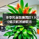 冬季风暴致美国超13000架次航班被取消(图4) 冬季风暴致美国超13000架次航班被取消(图4)
