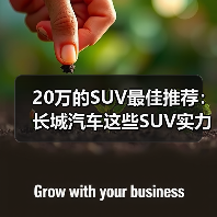 20万的SUV最佳推荐：长城汽车这些SUV实力碾压同级(图4)