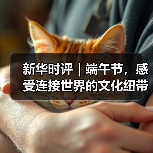 新华时评｜端午节，感受连接世界的文化纽带(图3)