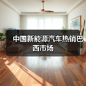 中国新能源汽车热销巴西市场(图2)
