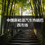 中国新能源汽车热销巴西市场(图3)