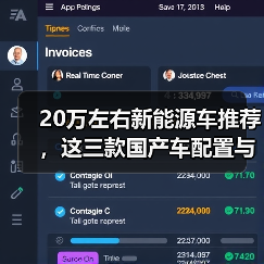 20万左右新能源车推荐，这三款国产车配置与续航兼得(图2)