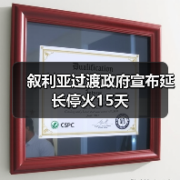 叙利亚过渡政府宣布延长停火15天(图2)