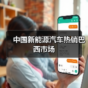 中国新能源汽车热销巴西市场(图4)