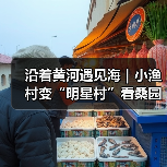 沿着黄河遇见海｜小渔村变“明星村”看桑园村如何“C位出道”(图3)