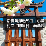 沿着黄河遇见海｜小渔村变“明星村”看桑园村如何“C位出道”(图2)