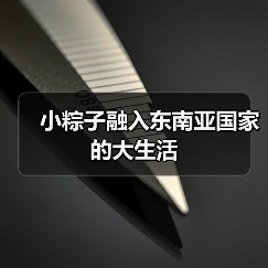 小粽子融入东南亚国家的大生活