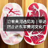 沿着黄河遇见海｜采访团走进东平黄河文化广场：观三水交汇处的文明灯塔(图1)
