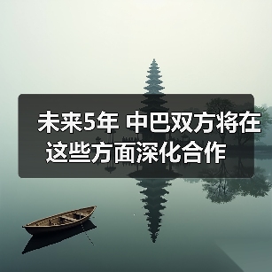 未来5年 中巴双方将在这些方面深化合作