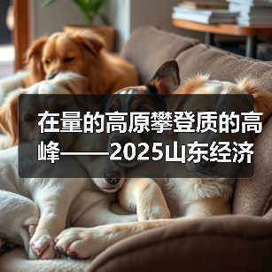 在量的高原攀登质的高峰——2025山东经济社会运行情况解读②(图2) 在量的高原攀登质的高峰——2025山东经济社会运行情况解读②(图2)