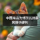 中国商店为博茨瓦纳居民提供便利(图4)