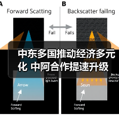 中东多国推动经济多元化 中阿合作提速升级(图3)