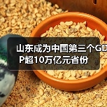 山东成为中国第三个GDP超10万亿元省份(图4)