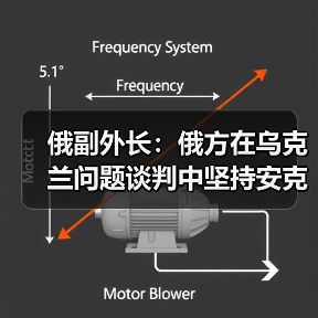 俄副外长：俄方在乌克兰问题谈判中坚持安克雷奇共识(图4)