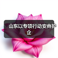 山东以专项行动安商护企(图2)