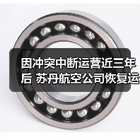 因冲突中断运营近三年后 苏丹航空公司恢复运营(图3)