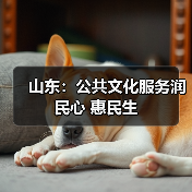 山东：公共文化服务润民心 惠民生(图2)