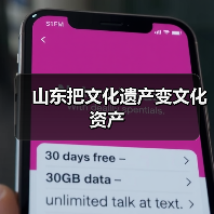 山东把文化遗产变文化资产(图4)