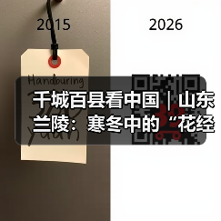 千城百县看中国｜山东兰陵：寒冬中的“花经济”(图2)
