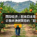 国际锐评|起底日本车企集体造假背后的“制造之忧”(图2) 国际锐评|起底日本车企集体造假背后的“制造之忧”(图2)