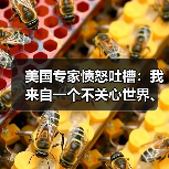 美国专家愤怒吐槽：我来自一个不关心世界、甚至不关心本国穷人的国家(图1)